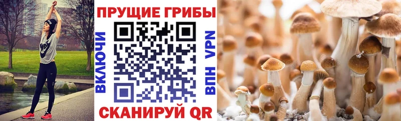 Псилоцибиновые грибы Magic Shrooms  где можно купить   Реутов 